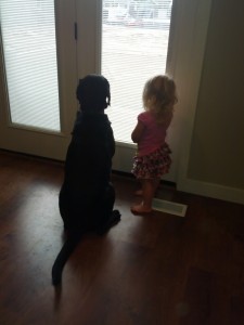 Rose and Brewer watching the back yard landscapers.