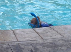 Ray is getting brave in the water!