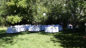 we spent the day Friday getting the yard ready for the reception