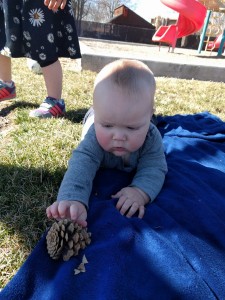 Trying to get that stinking pine cone. This guy tries to eat everything he gets his hands on.